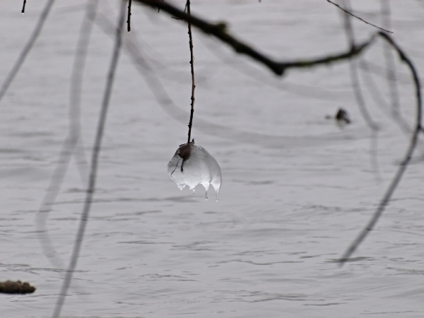 Goutte gelée.jpg